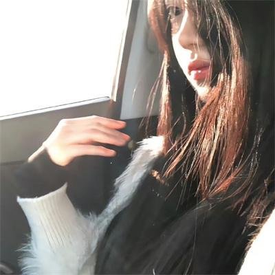 西部战线